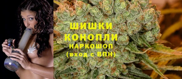 СК Горняк