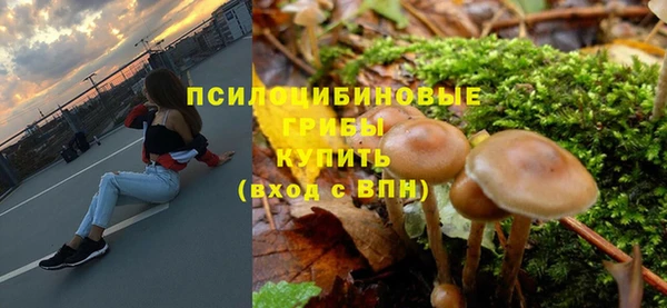 СК Горняк