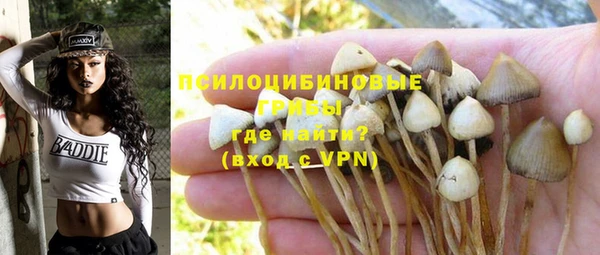 СК Горняк
