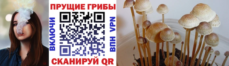 Галлюциногенные грибы мицелий  наркота  Меленки 